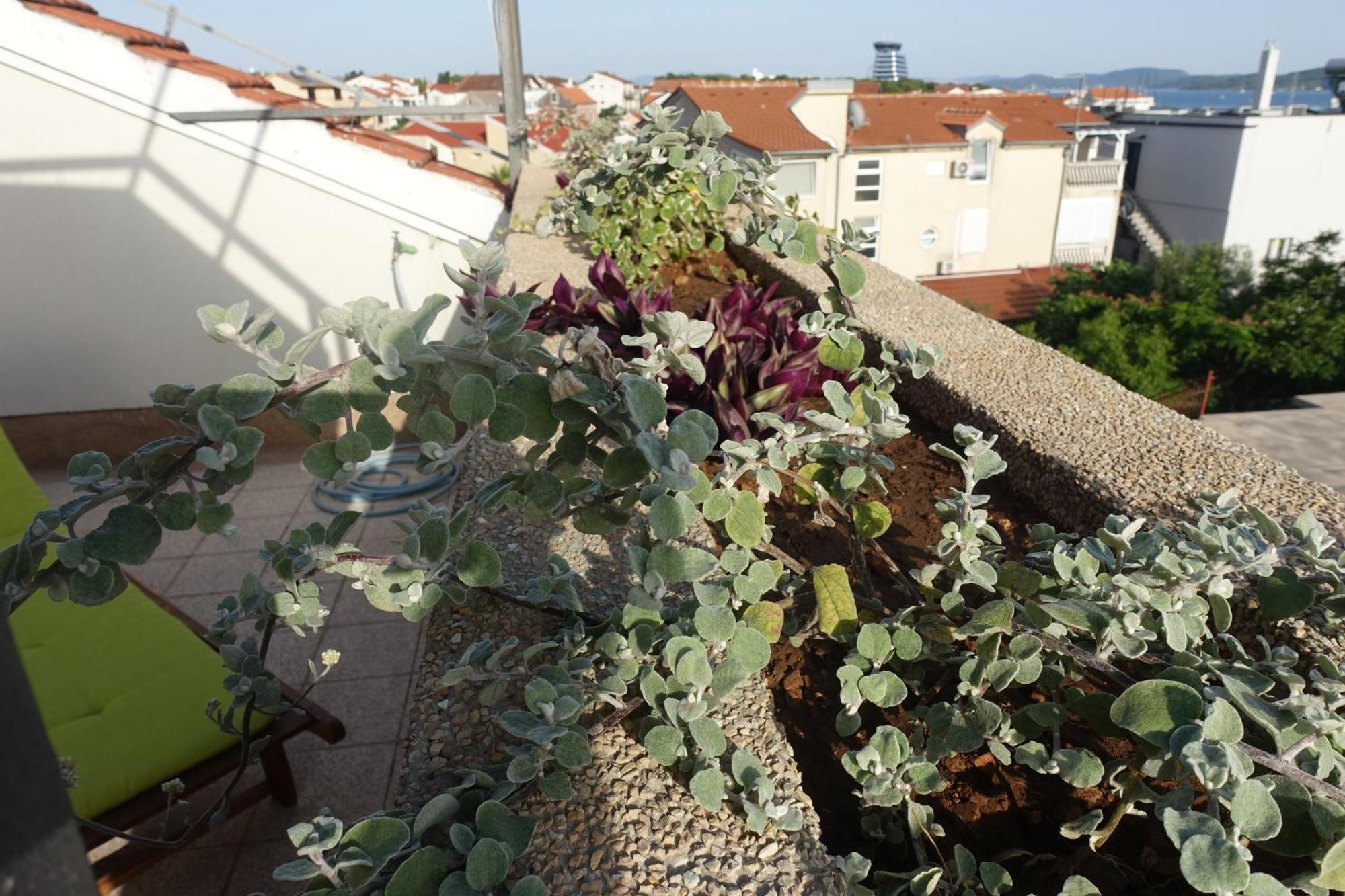 Apartment Tonka Vodice Eksteriør bilde